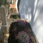 Apartmentstamariu3 -stunning Views Wifi Terrace * Tamariu