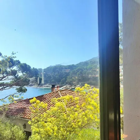 T3 - Charming Seaside Escape With Stunning Views Apartment